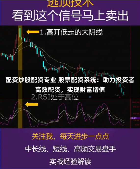 配资炒股配资专业 股票配资系统：助力投资者高效配资，实现财富增值