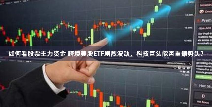 如何看股票主力资金 跨境美股ETF剧烈波动，科技巨头能否重振势头？