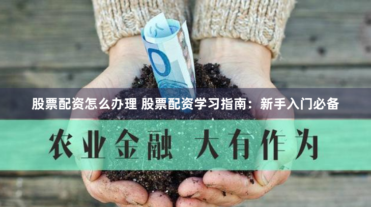 股票配资怎么办理 股票配资学习指南：新手入门必备