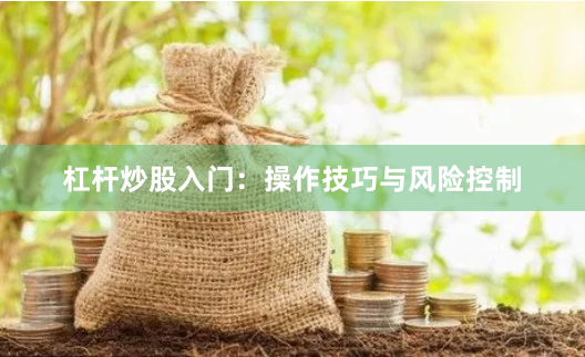 杠杆炒股入门：操作技巧与风险控制
