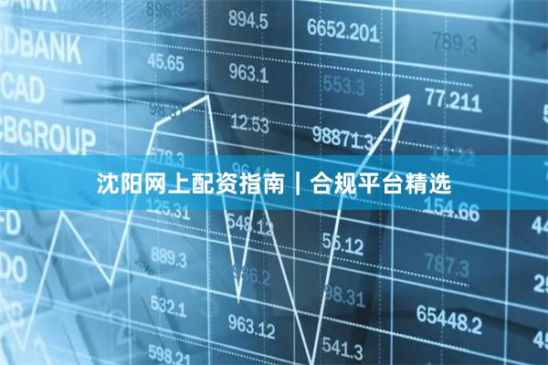沈阳网上配资指南｜合规平台精选